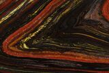 Polished Tiger Iron Stromatolite - Billion Years #129280-1